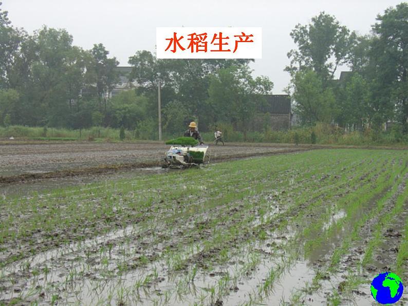2021_2022学年高中地理第三章农业地域的形成与发展第一节农业的区位选择3教案新人教版必修2第3页