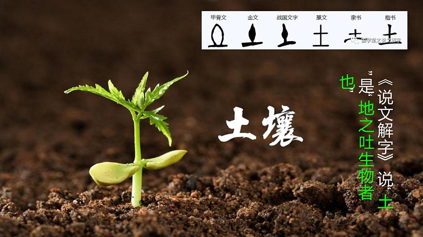 5.2  土壤  第一課時(shí)第3頁