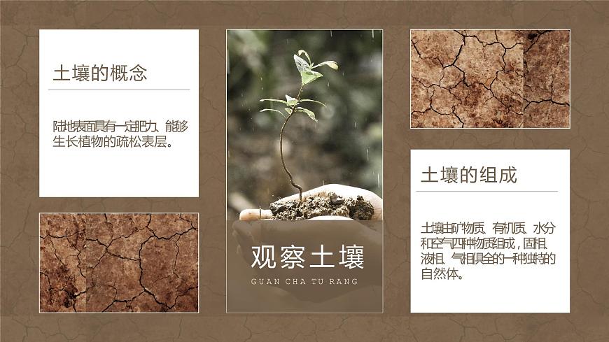 5.2 土壤 課件 2021-2022學(xué)年高一上學(xué)期地理人教版（2019）必修第一冊(cè)第3頁