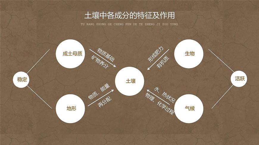 5.2 土壤 課件 2021-2022學(xué)年高一上學(xué)期地理人教版（2019）必修第一冊(cè)第5頁