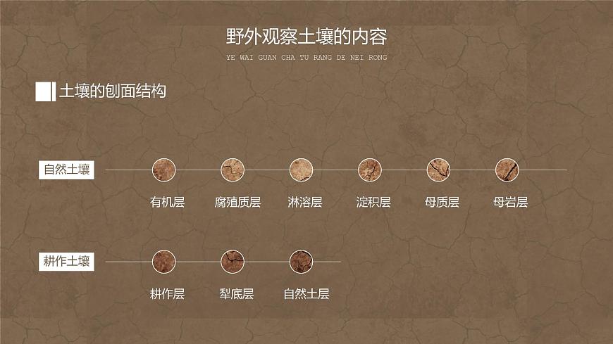5.2 土壤 課件 2021-2022學(xué)年高一上學(xué)期地理人教版(2019)必修第一冊(cè)第7頁