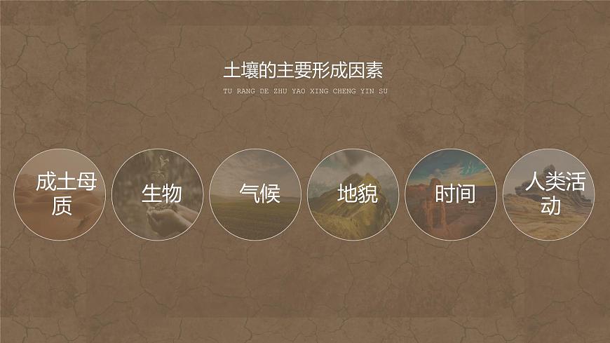 5.2 土壤 課件 2021-2022學(xué)年高一上學(xué)期地理人教版（2019）必修第一冊(cè)第8頁