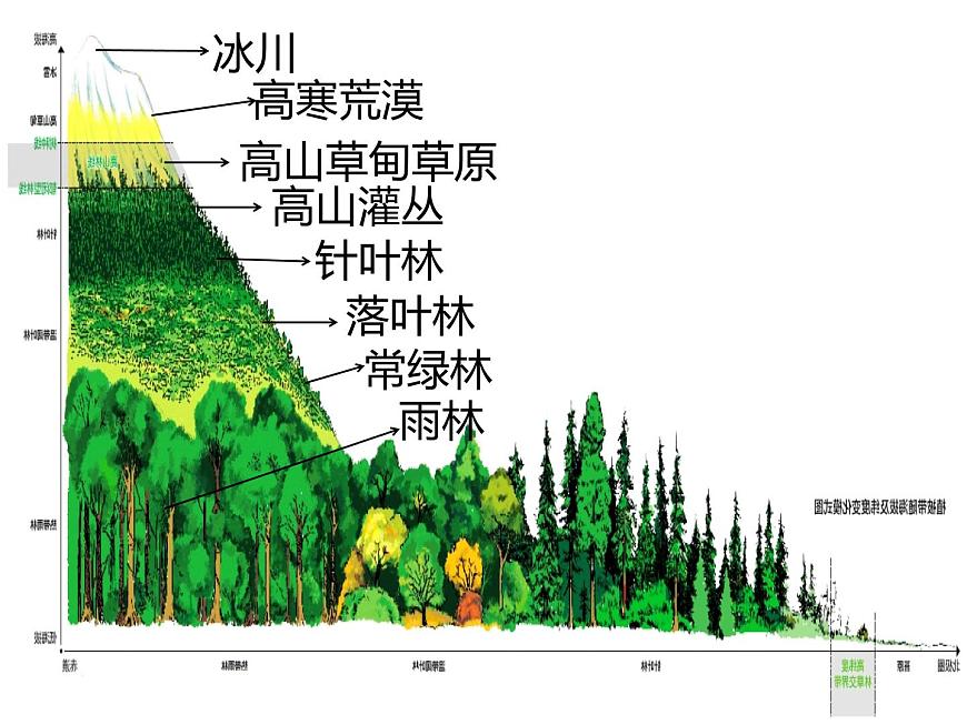 5.2自然環(huán)境的地域差異性(第二課時(shí))課件PPT第5頁(yè)