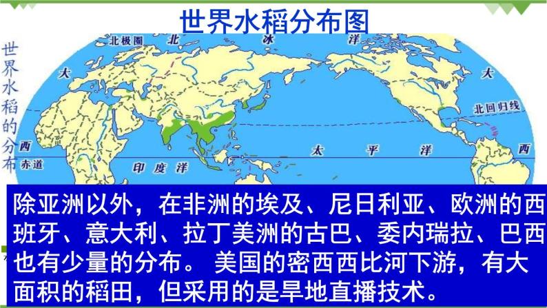 人教版（新课标）地理必修二 3.2以种植业为主的农业地域类型 课件PPT03