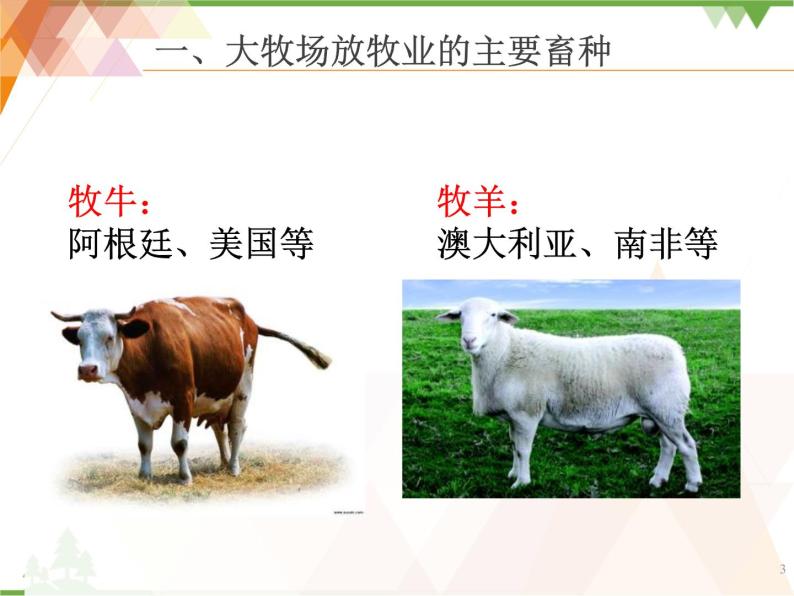 人教版（新课标）地理必修二 3.3 以畜牧业为主的农业地域类型 课件PPT03
