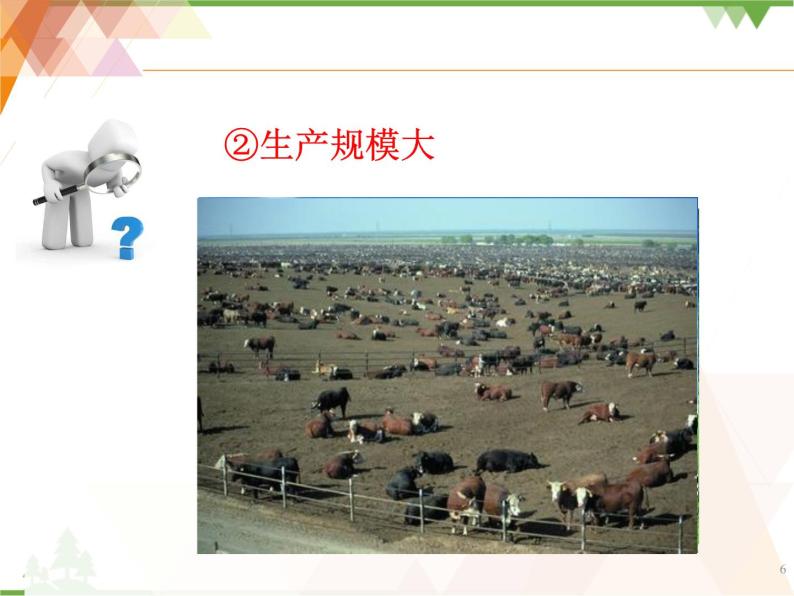 人教版（新课标）地理必修二 3.3 以畜牧业为主的农业地域类型 课件PPT06