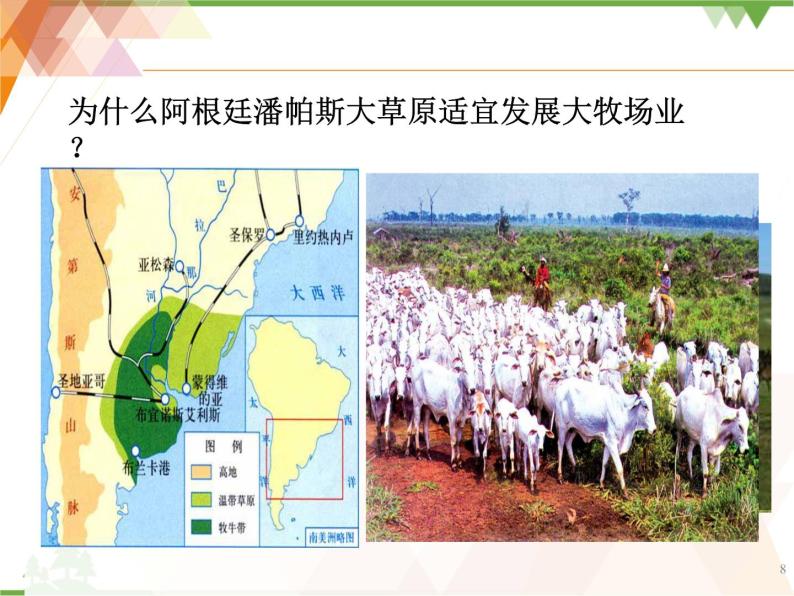 人教版（新课标）地理必修二 3.3 以畜牧业为主的农业地域类型 课件PPT08
