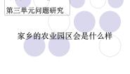 地理必修2第三章 农业地域的形成与发展问题研究 家乡的农业园区会是什么样课文配套课件ppt