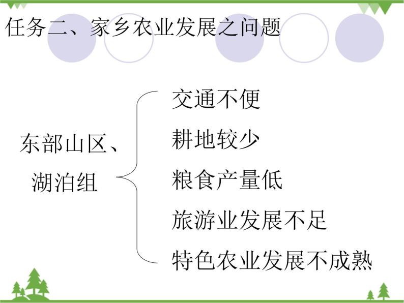 人教版（新课标）地理必修二 3.4家乡的农业园区会是什么样 课件PPT04