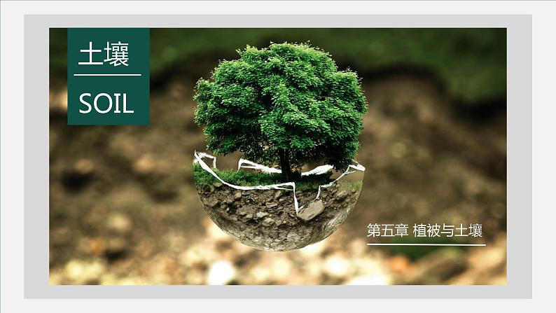 5.2土壤-【爱上地理课】2021-2022学年高一地理同步课堂精品课件(人教版2019必修第一册)01
