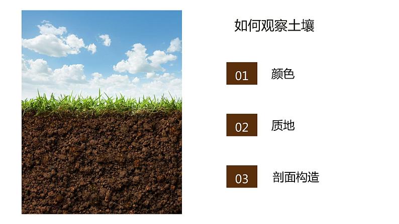 5.2土壤-【爱上地理课】2021-2022学年高一地理同步课堂精品课件(人教版2019必修第一册)05