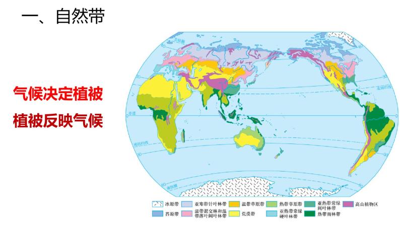 植被PPT课件免费下载03