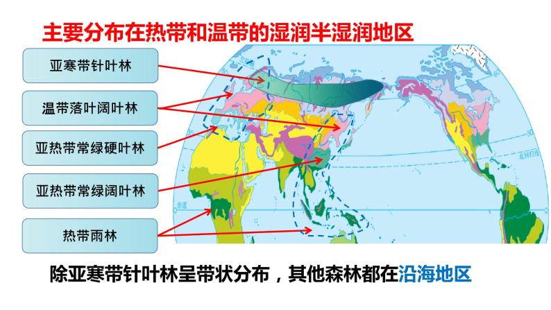 植被PPT课件免费下载06