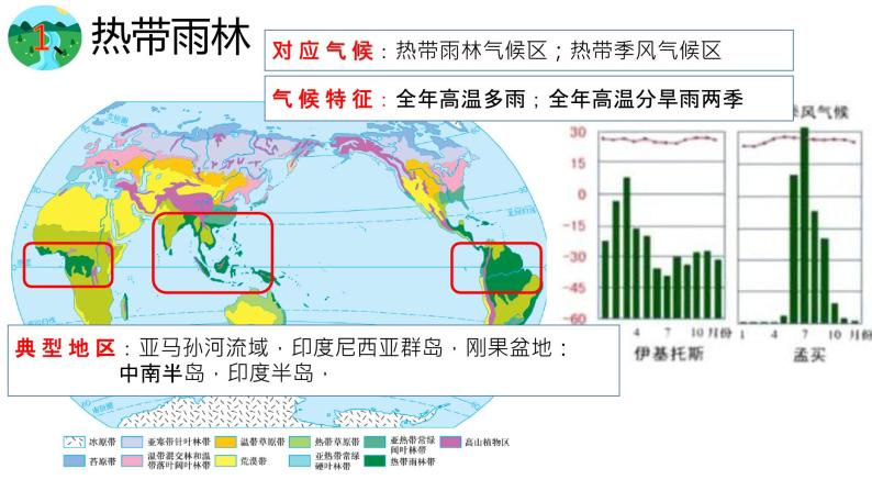 植被PPT课件免费下载08