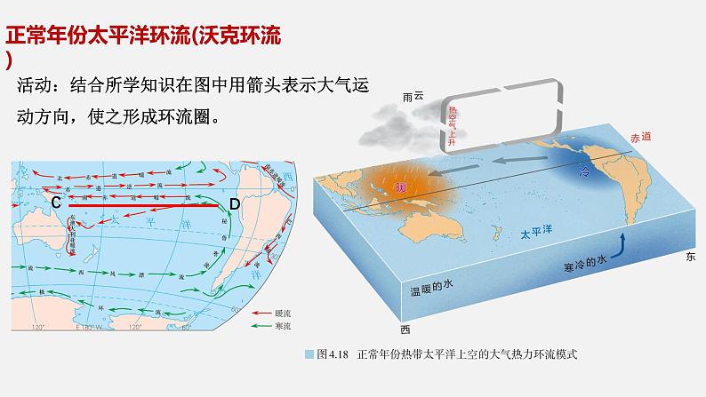 4.3 海——气相互作用 课件-2021-2022学年高中地理人教版(2019)选择性必修1第8页