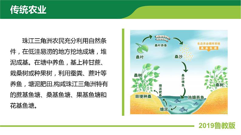 2.3产业结构转型地区的发展——以珠三角地区为例 课件PPT(鲁教版2019选择性必修2)07