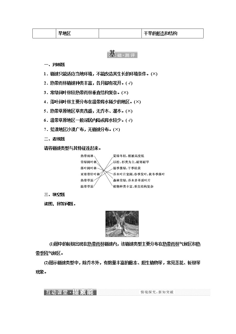 第五章 第一节 植被  学案 高中地理新人教版必修第一册（2021年）03