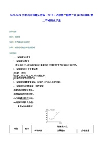 高中地理人教版 (2019)必修 第二册第二章 乡村和城镇第二节 城镇化学案及答案