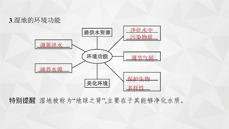 2022届高考地理湘教版一轮总复习 第十二章 第二节 湿地资源的开发与保护(以洞庭湖区为例) 课件第5页