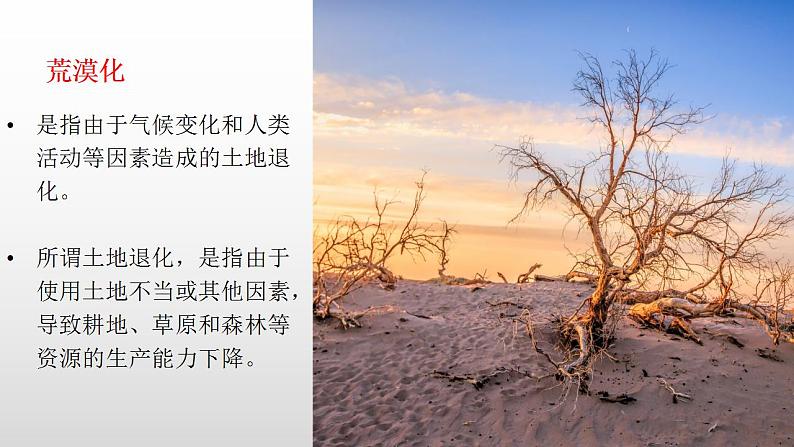 2.4生态脆弱区的综合治理—以我国荒漠化地区为例(第二课时)课件湘教版(2019)高中地理选择性必修二03