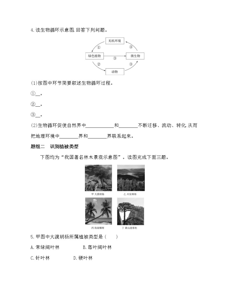 第三节　生物圈与植被-2022版地理必修第一册鲁教版（2019） 同步练习 （Word含解析）02