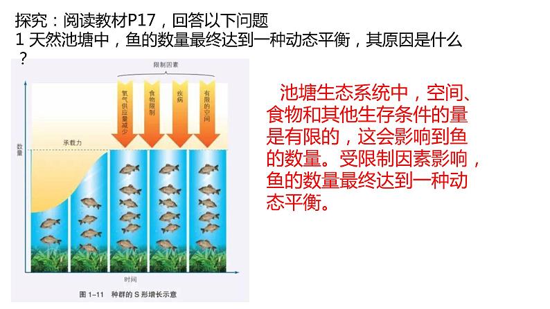 1.3 人口容量第1课时 2022年高二地理下学期必修二(湘教版)课件第3页