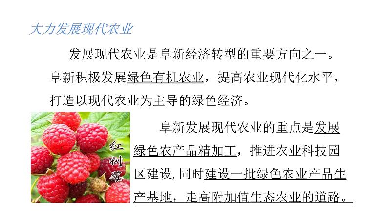 2022中图版2019必修22.3第三节 辽宁阜新的转型与发展第2课时(共2课时)34张PPT第8页