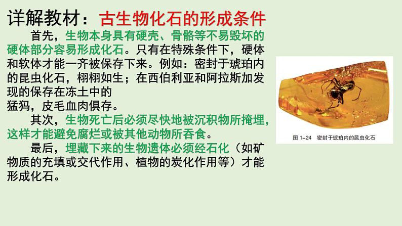 1.4 地球的演化 教材详解 课件-湘教版(2019)必修一地理(30张PPT)05