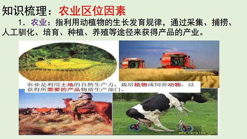 3.1 农业区位因素与农业布局课件PPT05