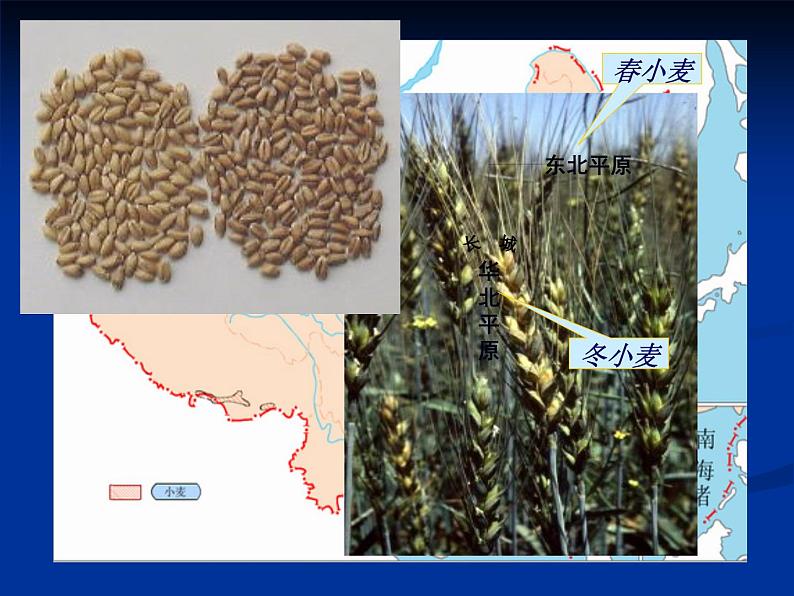 中国地理:中国的农业(共46张PPT).08