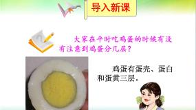 湘教版湘教版必修1第四节  地球的结构教课内容ppt课件