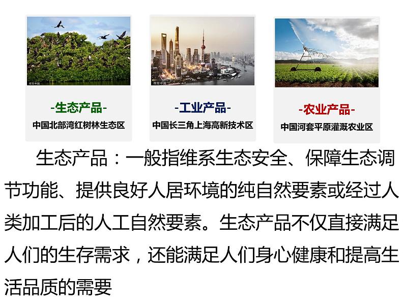 5.3中国国家发展战略举例课件PPT第5页