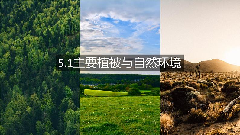 主要植被与自然环境课件PPT第1页
