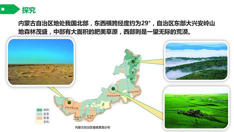 主要植被与自然环境课件PPT第2页