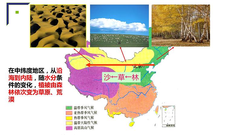主要植被与自然环境课件PPT第5页