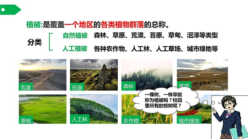 主要植被与自然环境课件PPT第6页