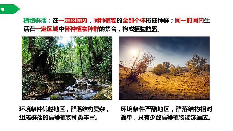 主要植被与自然环境课件PPT第7页