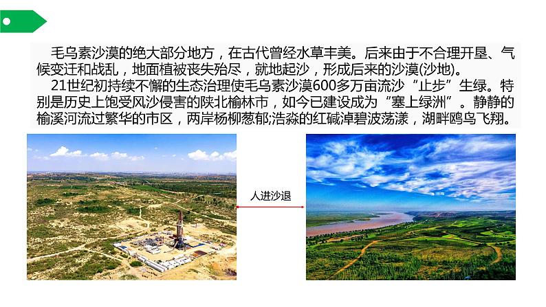 主要植被与自然环境课件PPT第8页