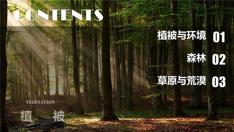 5.1植被-高一地理 课件+同步练习(人教版2019必修第一册)06
