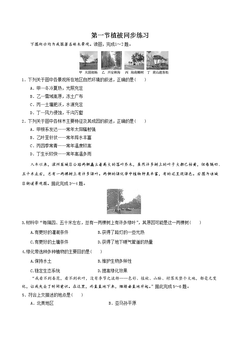 5.1植被-高一地理 课件+同步练习(人教版2019必修第一册)01