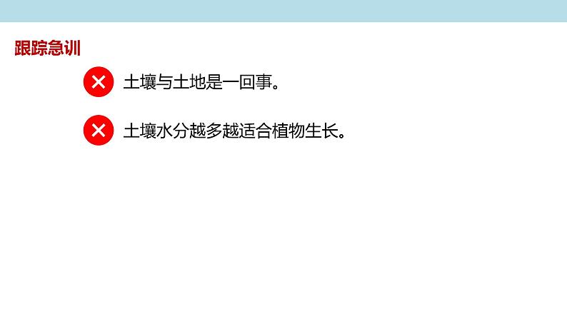2.6 土壤的主要形成因素课件(2)-中图版高中地理必修第一册(共25张PPT)05