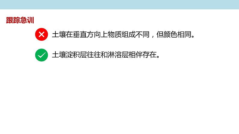 2.6 土壤的主要形成因素课件(2)-中图版高中地理必修第一册(共25张PPT)07