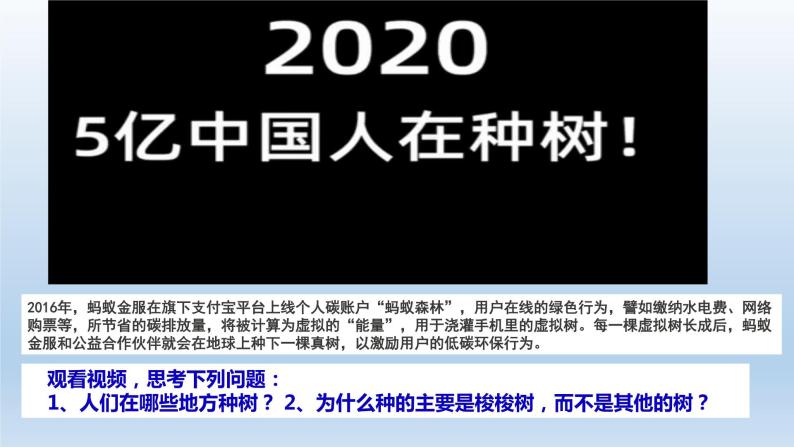 人教版2019高中地理必修一5.1-1植被第一课时 1课件02