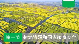 2.1耕地资源和国家粮食安全（课件）-2020-2021学年高二地理同步备课系列（新教材湘教版选择性必修3）