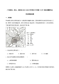 2022届广西桂林中学、崇左、贺州市高三下学期（3月）联合调研考试文综地理试题含解析