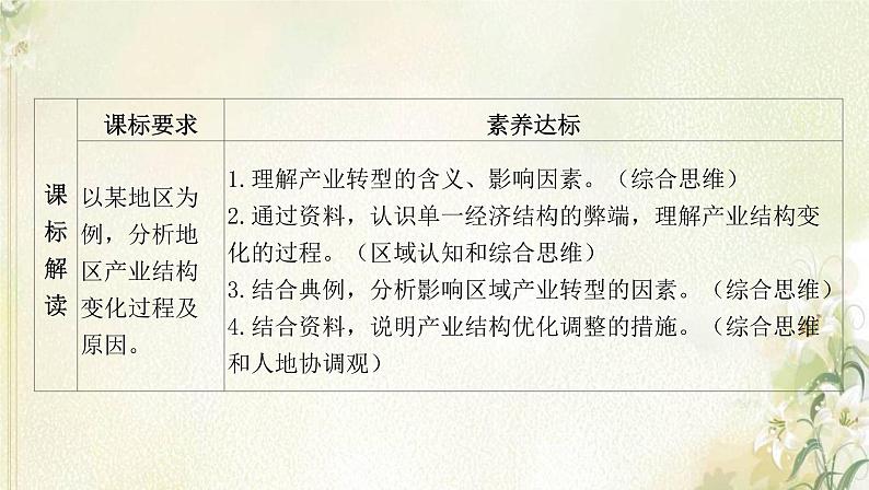 湘教版高中地理选择性必修第二册第二章区域发展第二节产业转型地区的结构优化__以美国休斯敦为例课件02