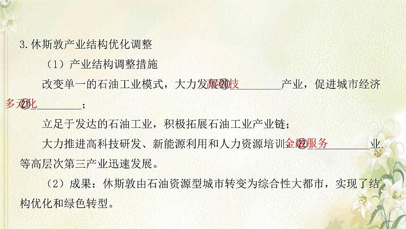 湘教版高中地理选择性必修第二册第二章区域发展第二节产业转型地区的结构优化__以美国休斯敦为例课件08