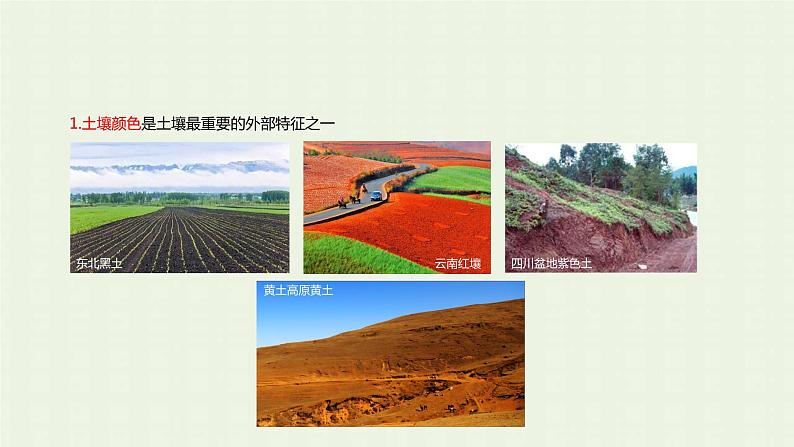 新人教版高中地理必修第一册第五章植被与土壤第二节土壤课件第5页