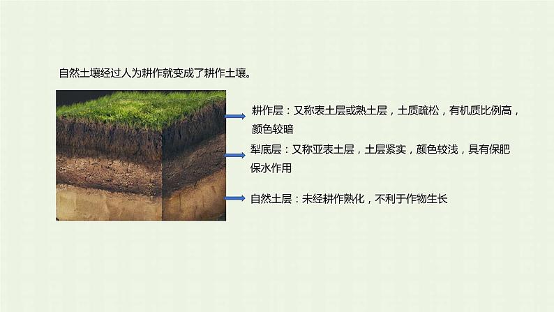 新人教版高中地理必修第一册第五章植被与土壤第二节土壤课件第8页