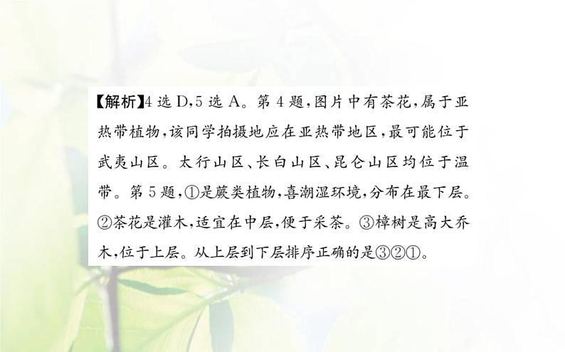 新人教版高中地理选择性必修1第五章自然环境的整体性与差异性单元素养评价课件第8页